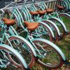 Ride The Wind Surf Shop