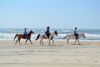 Kitty Hawk Kites
