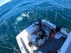 True Grit Sportfishing