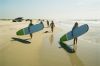 Ride The Wind Surf Shop