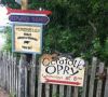 Ocracoke Alive