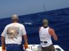 Bite Me Sportfishing Charters