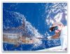 Bite Me Sportfishing Charters