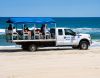 Bob's Corolla Wild Horse Tours