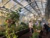 Elizabethan Gardens