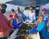 Risky Business Shrimping & Crabbing Charters