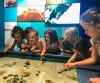 North Carolina Aquarium on Roanoke Island