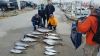 Phideaux Fishing