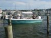 Gecko Sportfishing