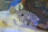 North Carolina Aquarium on Roanoke Island
