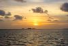 Paradise Dolphin Cruises
