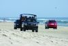 Bob's Corolla Wild Horse Tours