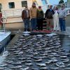 Country Girl Charters
