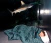 North Carolina Aquarium on Roanoke Island