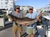 T-Time Charters