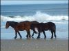 Hummer Adventure Tours